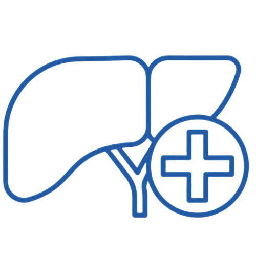 Hepatologia